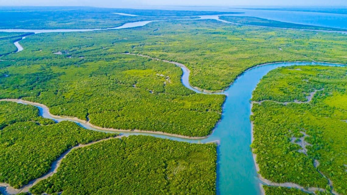 Sundarban-Resort