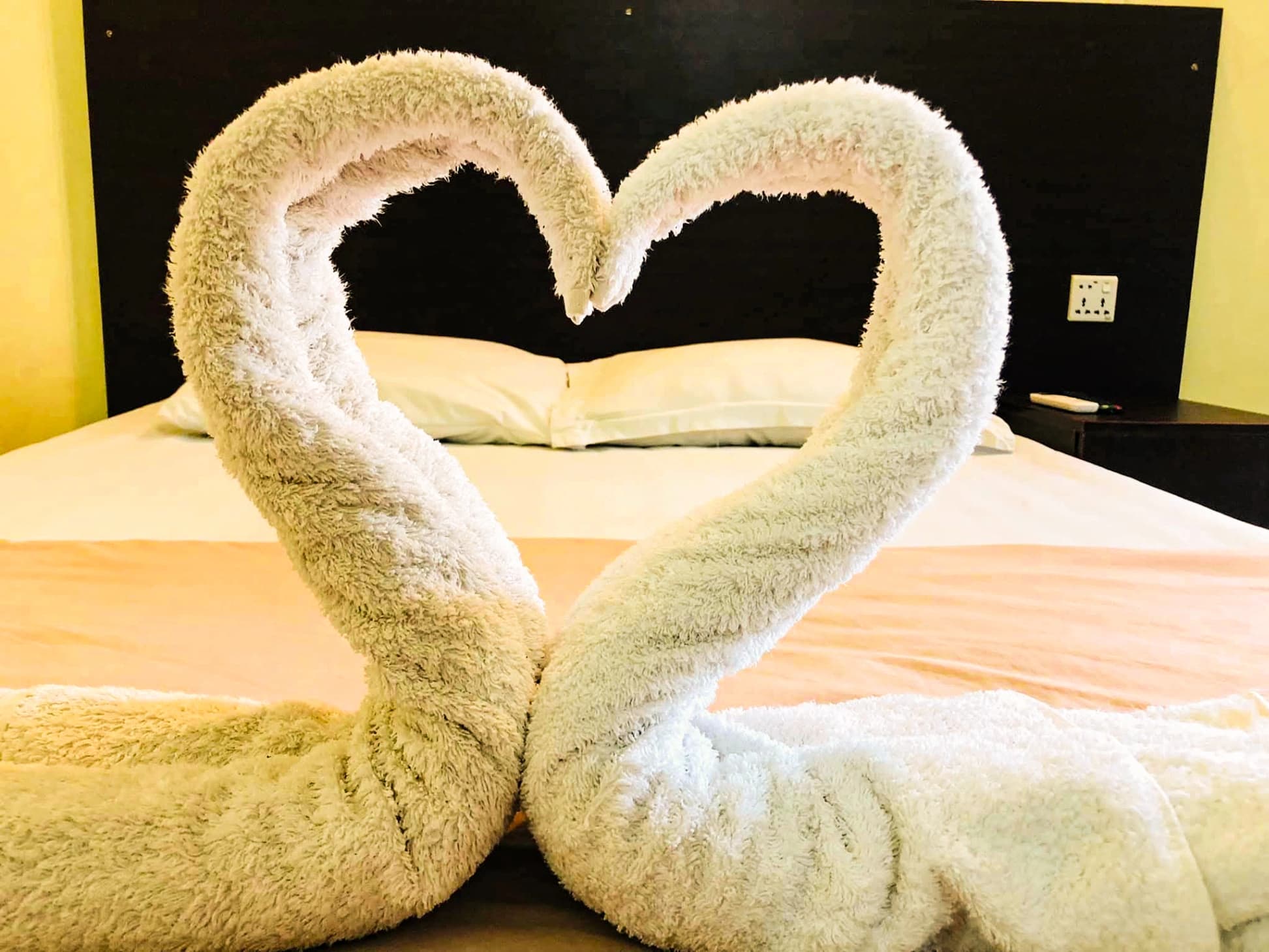 AC Couple Room photo 1