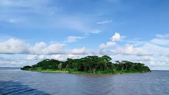 Borguna