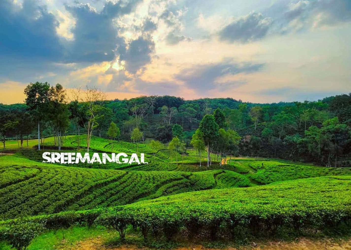 Sreemangal