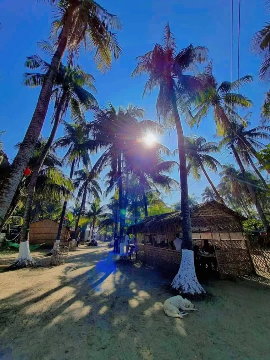 Saint Martin Beach Eco Resort