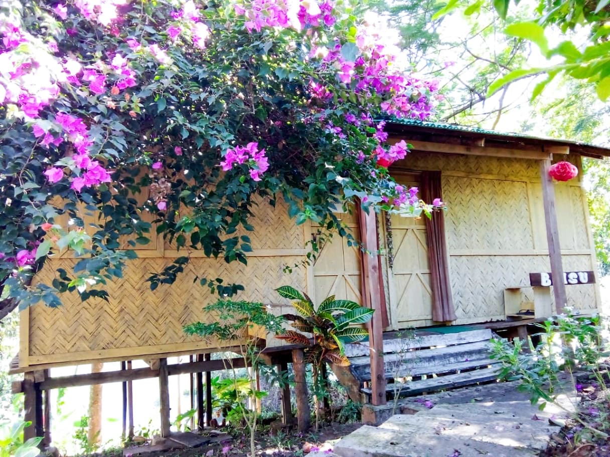 Borgang Resort